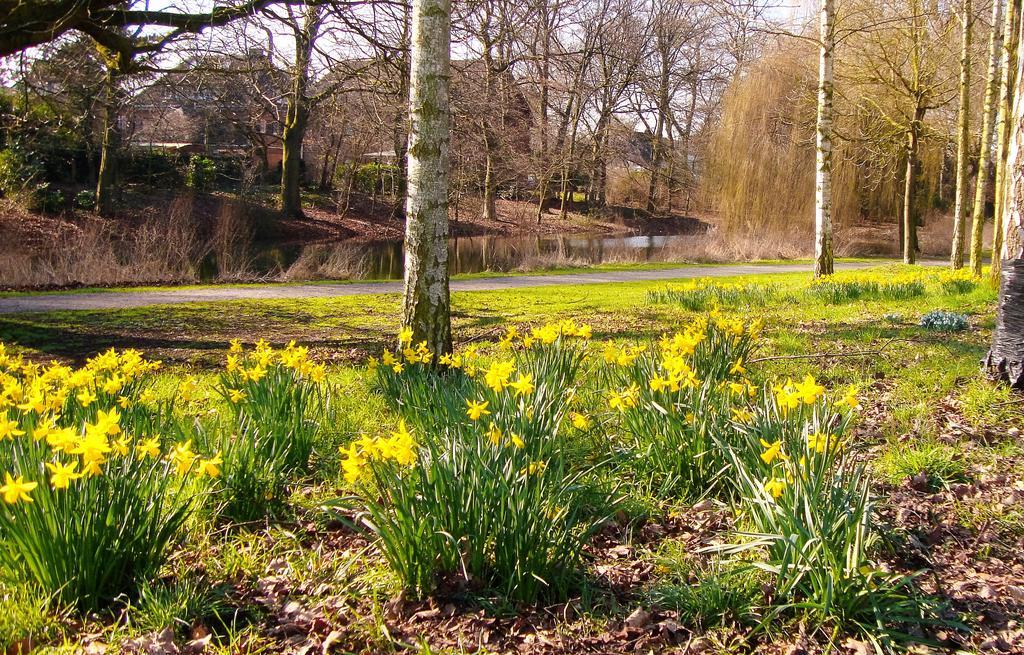Vivere Ad Parcum - Bed And Breakfast Krefeld Dış mekan fotoğraf