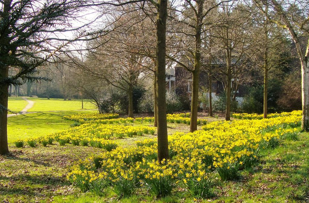 Vivere Ad Parcum - Bed And Breakfast Krefeld Dış mekan fotoğraf