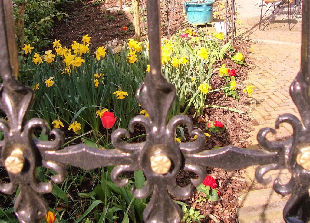 Vivere Ad Parcum - Bed And Breakfast Krefeld Dış mekan fotoğraf