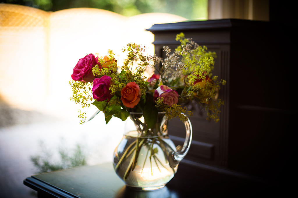 Vivere Ad Parcum - Bed And Breakfast Krefeld Dış mekan fotoğraf