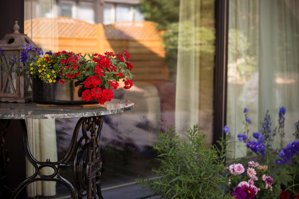 Vivere Ad Parcum - Bed And Breakfast Krefeld Oda fotoğraf